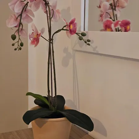 فندق مبيت وإفطار Pinukhouse ساليرنو